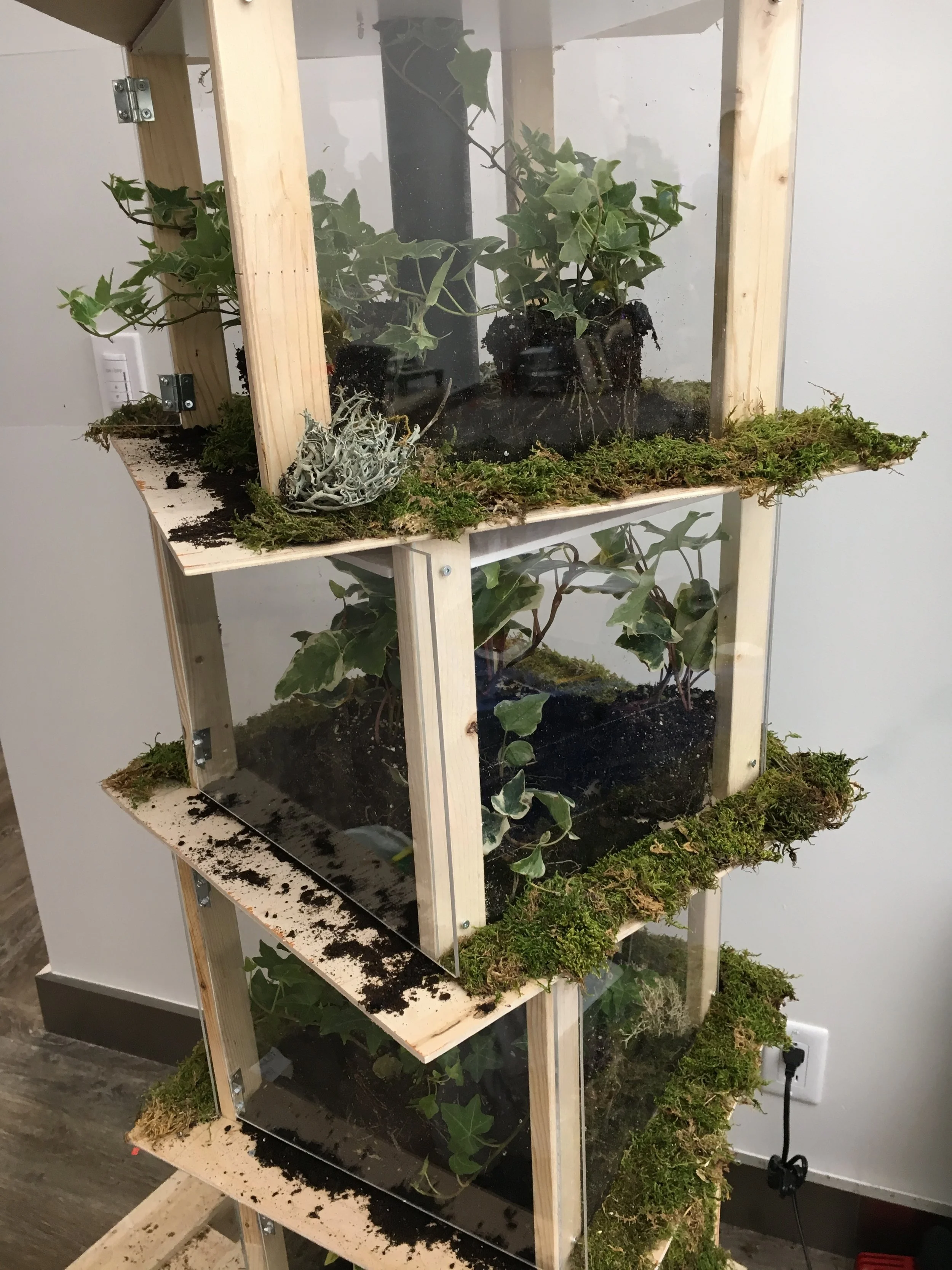 Final Installation 2