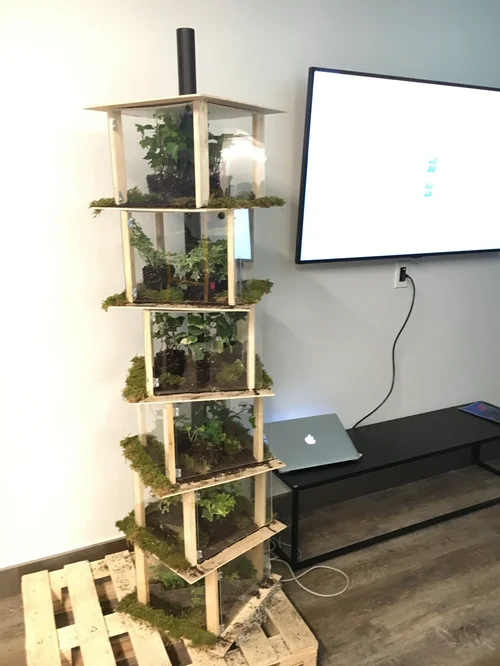 Final Installation 4
