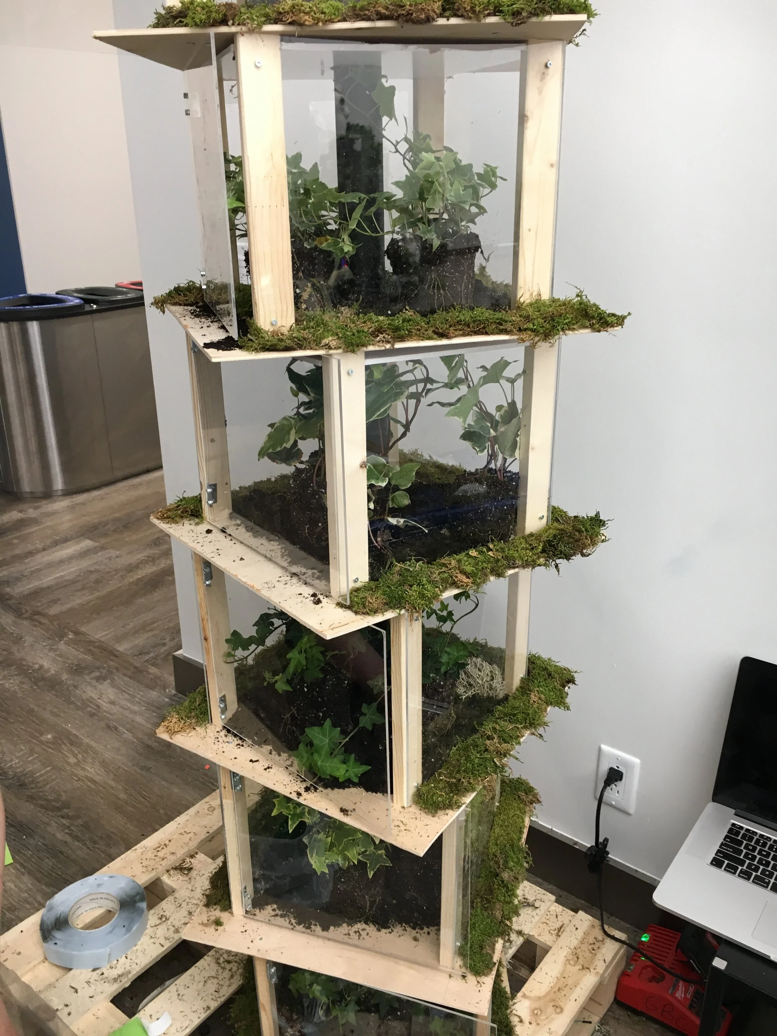 Final Installation Build