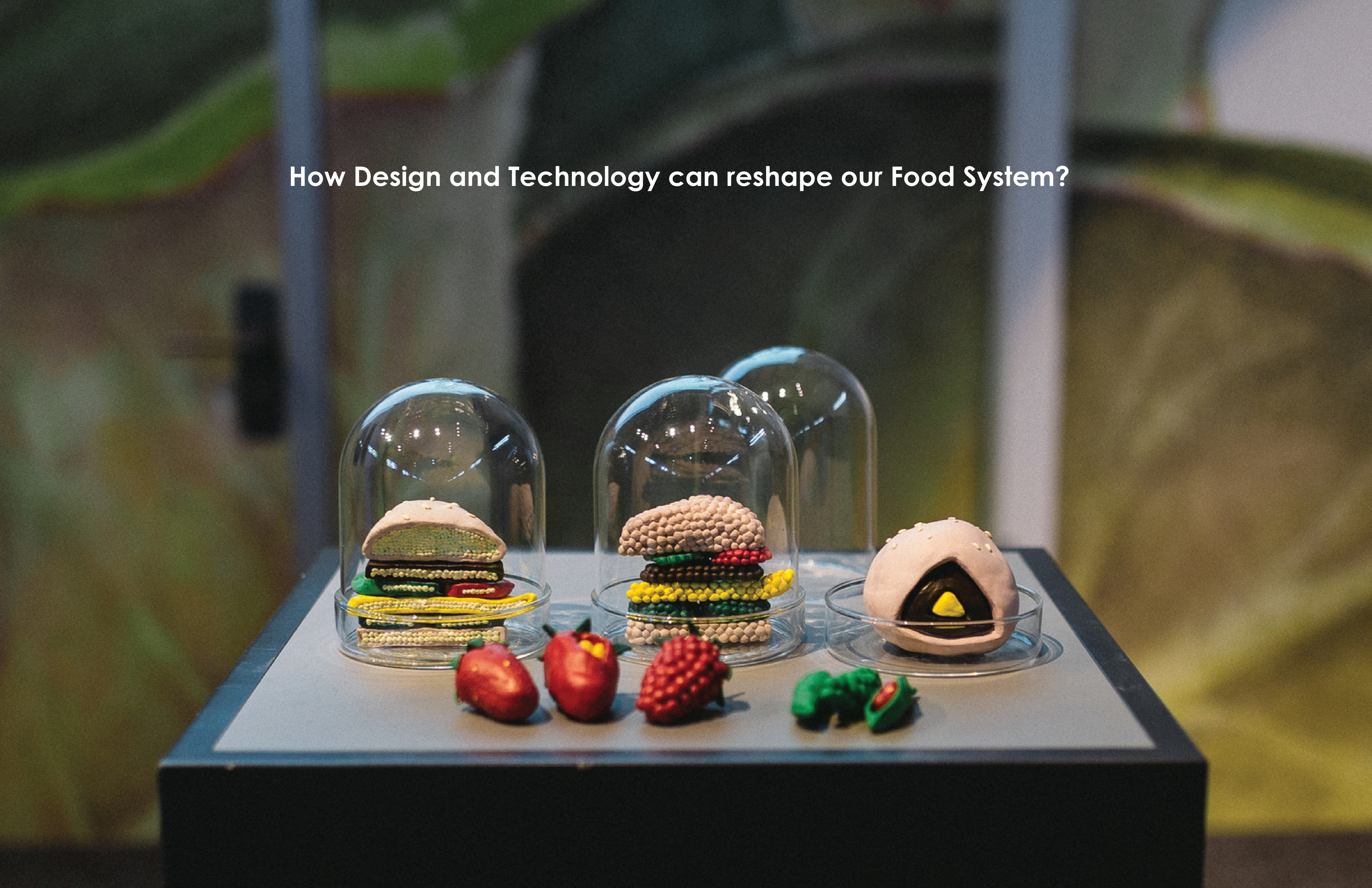 Edible Growth Research 1
