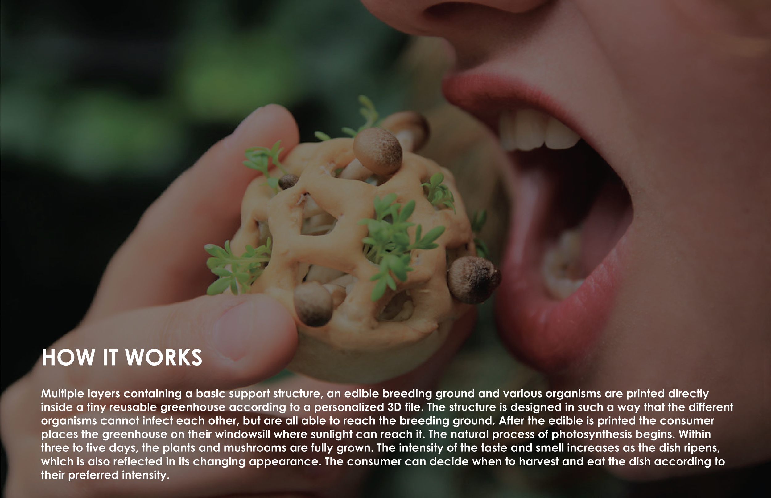 Edible Growth Research 3